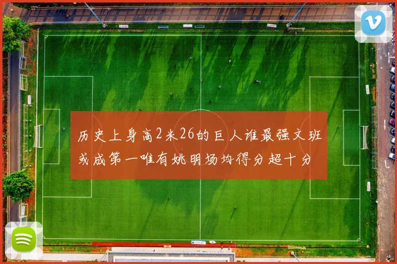 历史上身高2米26的巨人谁最强文班或成第一唯有姚明场均得分超十分