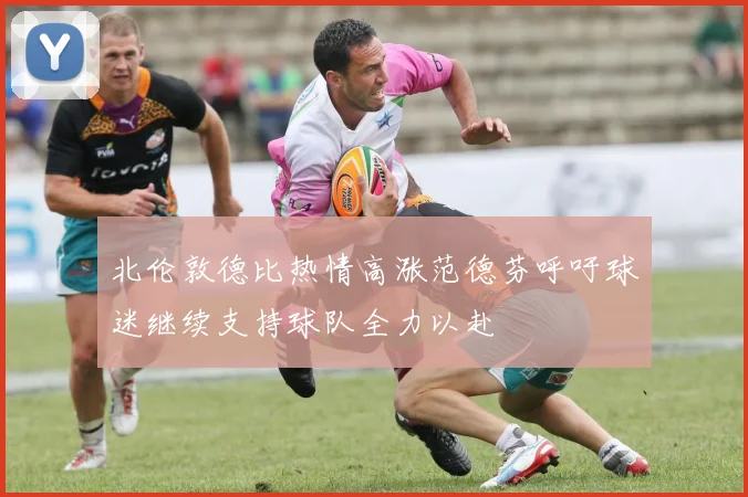 北伦敦德比热情高涨范德芬呼吁球迷继续支持球队全力以赴