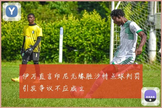 伊万直言印尼无缘胜沙特点球判罚引发争议不应成立